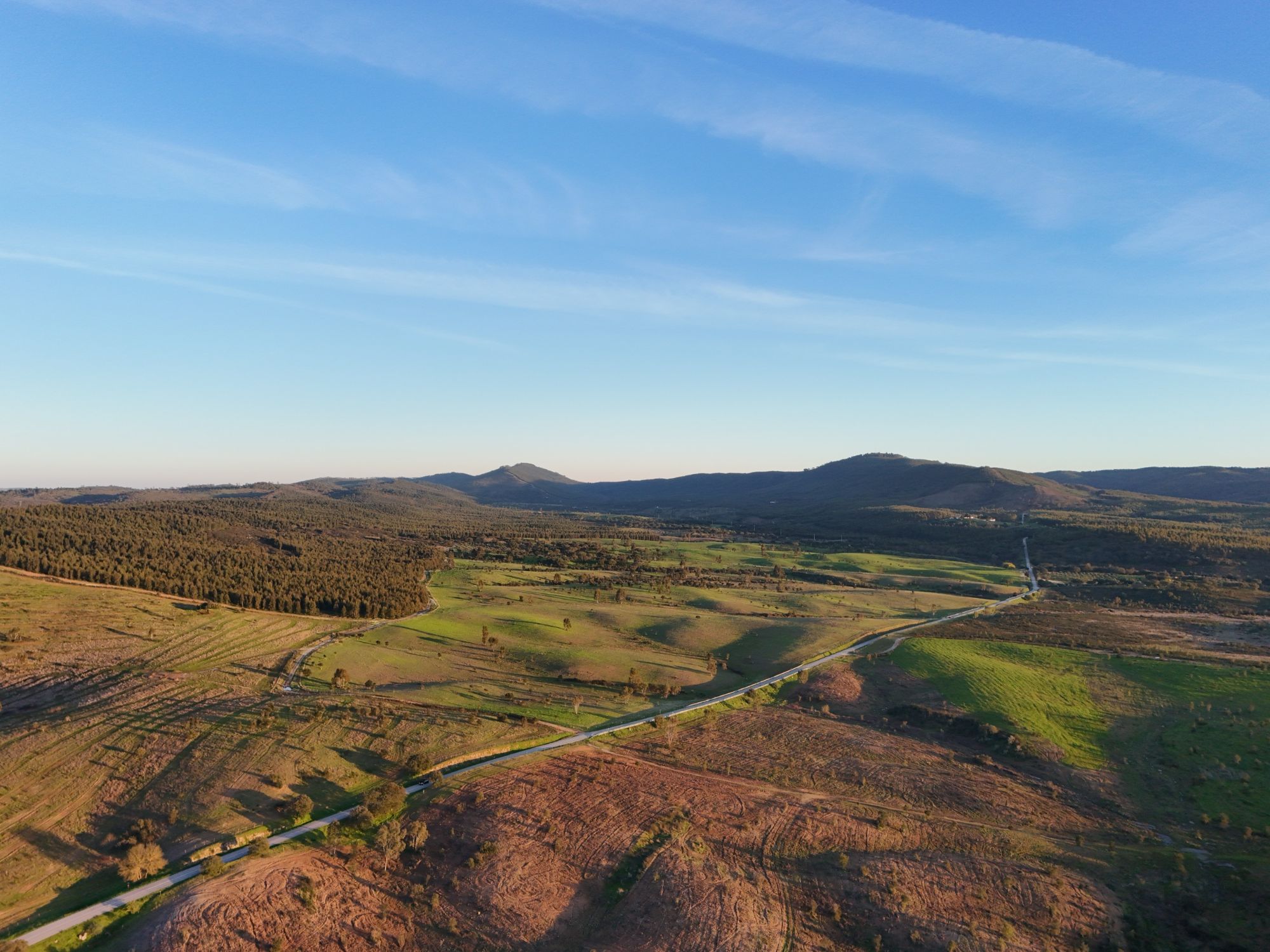 Vista aérea da Serra d'Ossa ao fim da tarde, com pinhal, campos verdes e a estrada que atravessa o vale